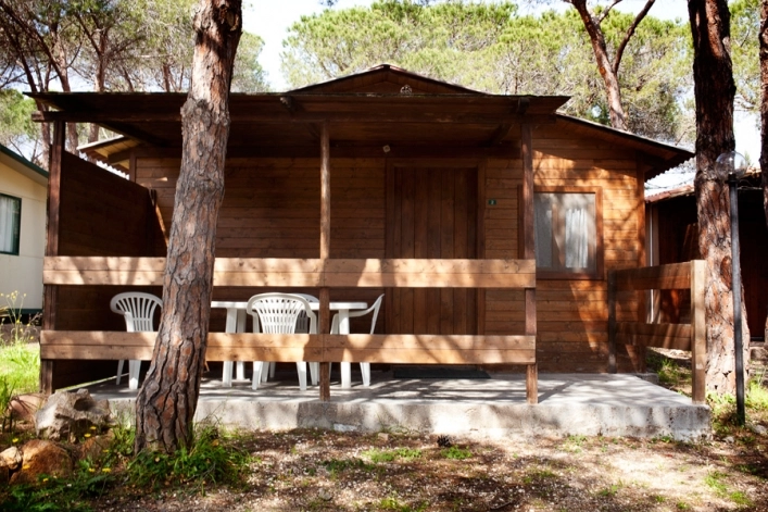 zobacz camping - zdjęcie 2