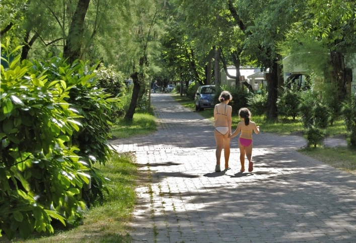 zobacz camping - zdjęcie 10