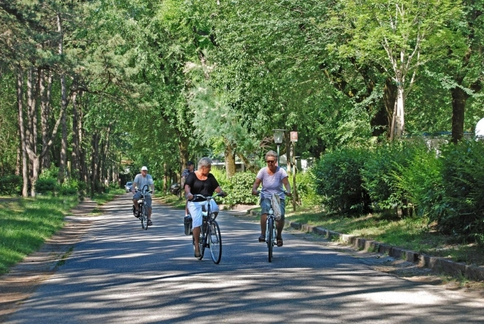 zobacz camping - zdjęcie 4