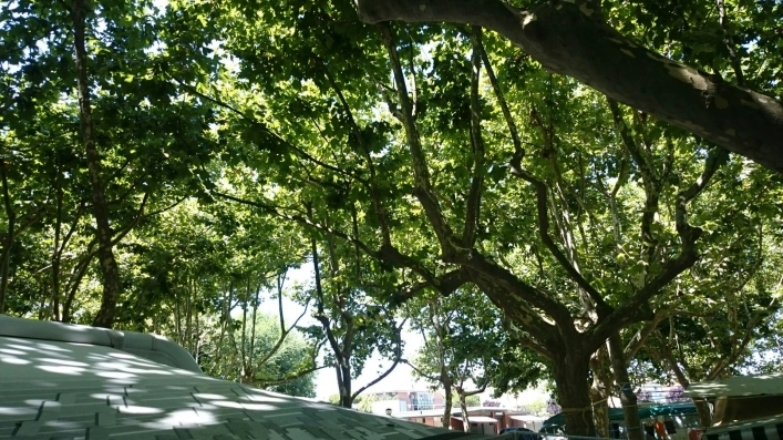 zobacz camping - zdjęcie 16