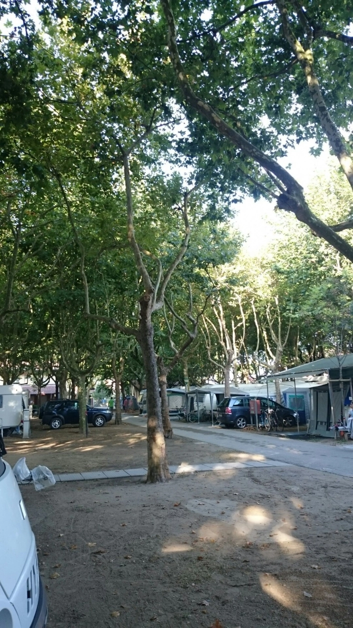 zobacz camping - zdjęcie 9