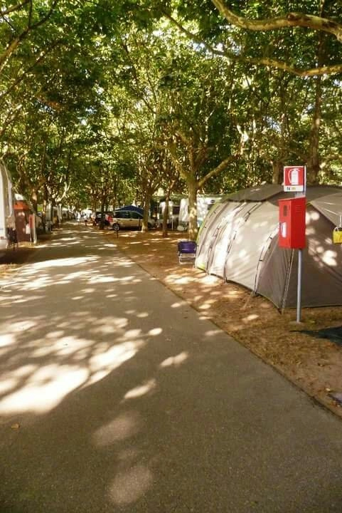 zobacz camping - zdjęcie 5