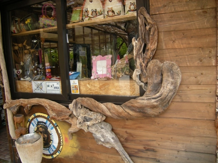 zobacz camping - zdjęcie 4