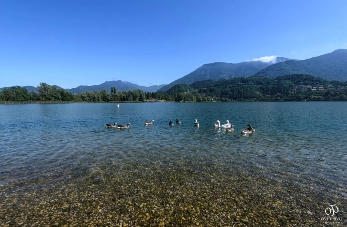 zobacz camping - zdjęcie 11