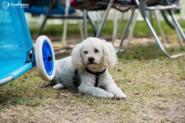 zobacz camping - zdjęcie 28