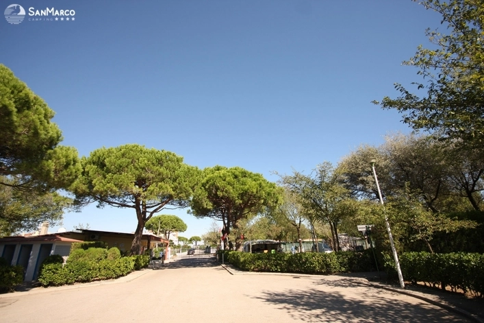 zobacz camping - zdjęcie 21