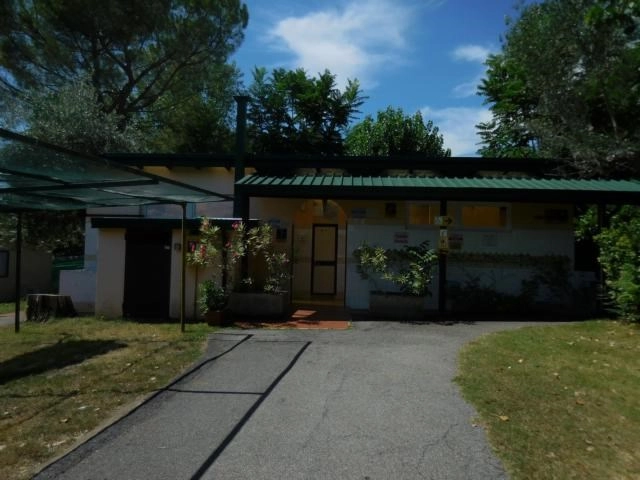 zobacz camping - zdjęcie 37