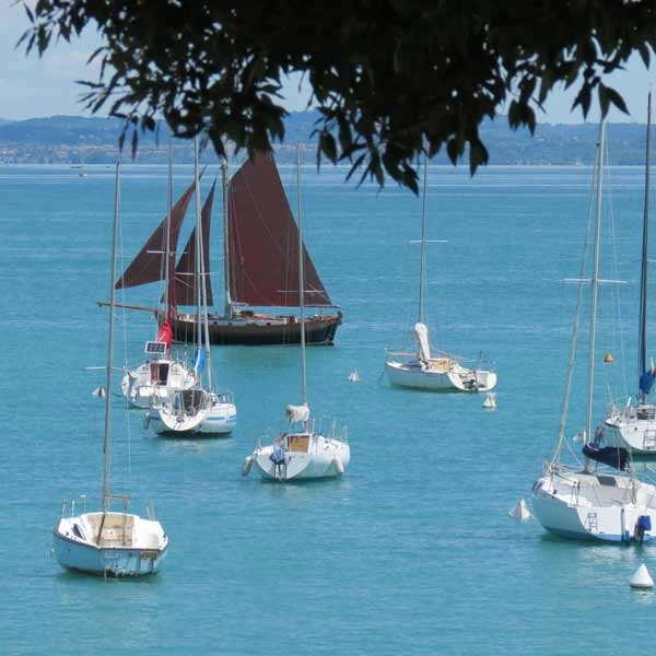 zobacz camping - zdjęcie 23