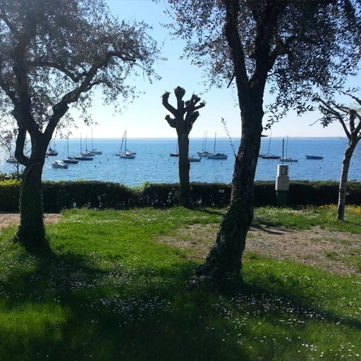 zobacz camping - zdjęcie 22