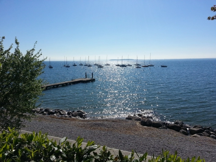 zobacz camping - zdjęcie 17