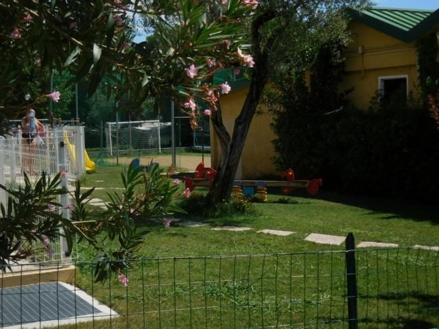 zobacz camping - zdjęcie 12