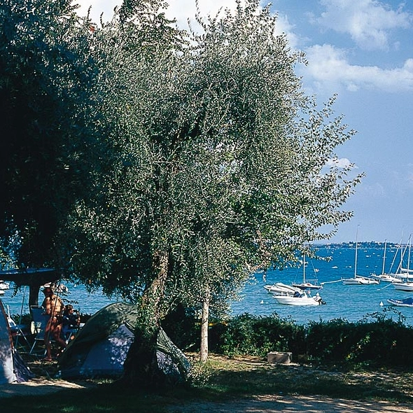 Camping San Michele - zdjęcie 1