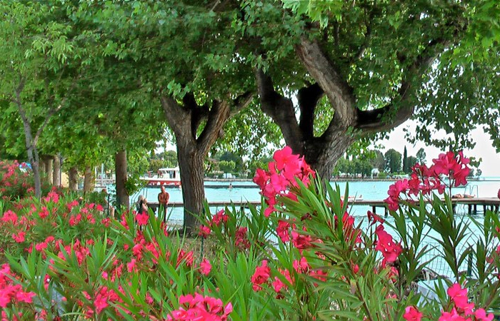 zobacz camping - zdjęcie 13