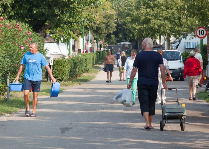 zobacz camping - zdjęcie 12