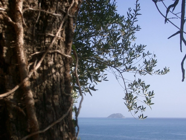 zobacz camping - zdjęcie 10