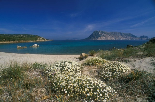 zobacz camping - zdjęcie 20