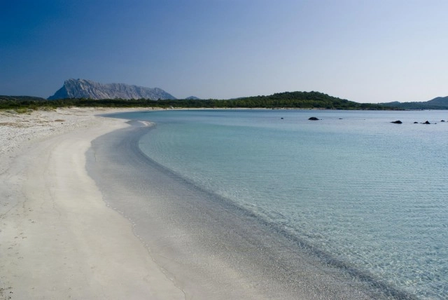 zobacz camping - zdjęcie 18