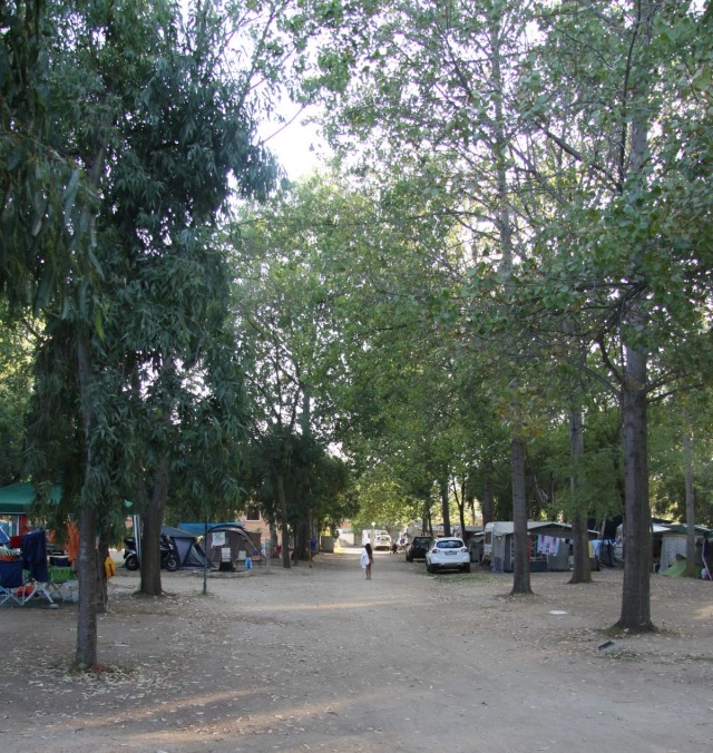 zobacz camping - zdjęcie 16