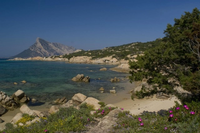 zobacz camping - zdjęcie 8