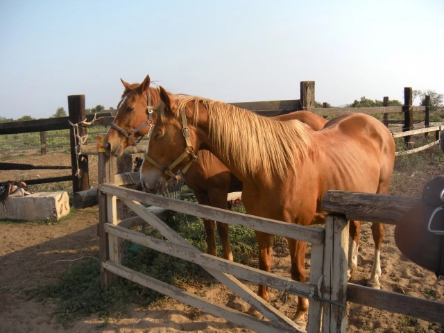 zobacz camping - zdjęcie 6