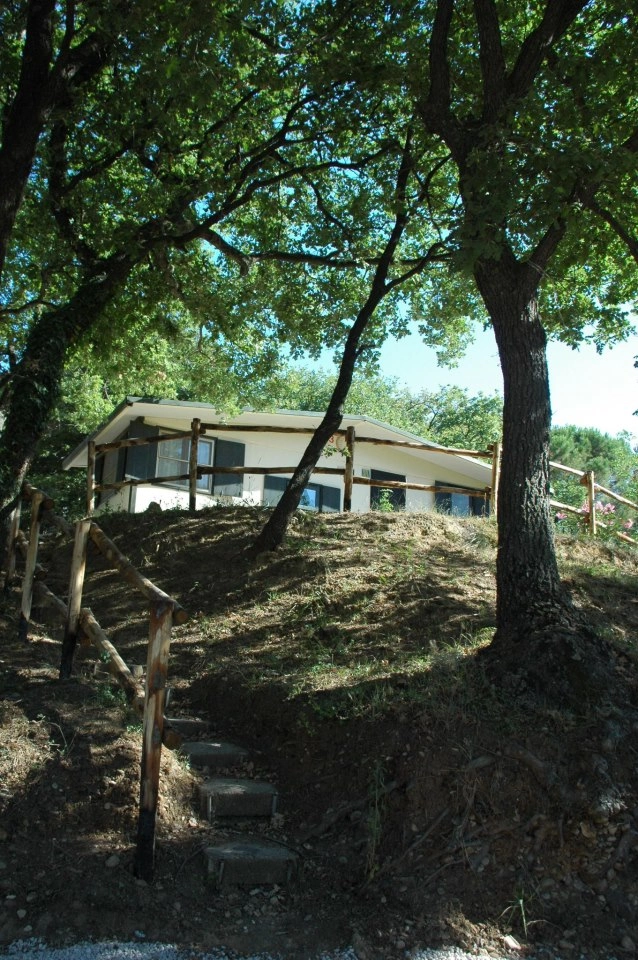 zobacz camping - zdjęcie 21