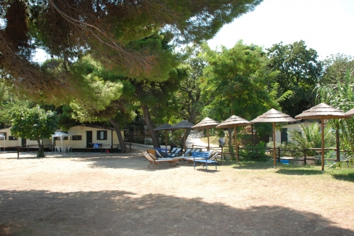 zobacz camping - zdjęcie 20