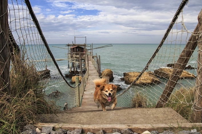 zobacz camping - zdjęcie 11