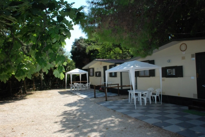 zobacz camping - zdjęcie 3