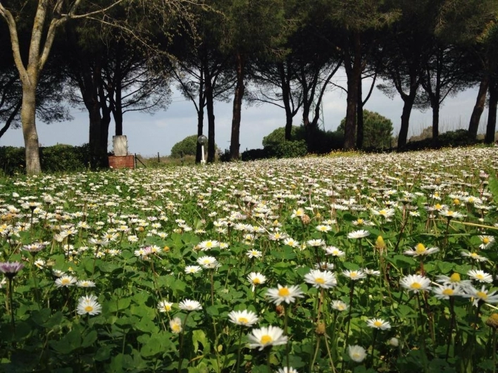 zobacz camping - zdjęcie 5