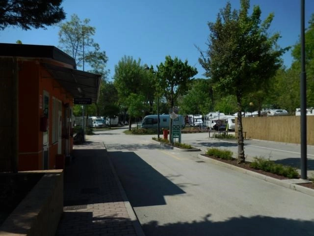 zobacz camping - zdjęcie 16