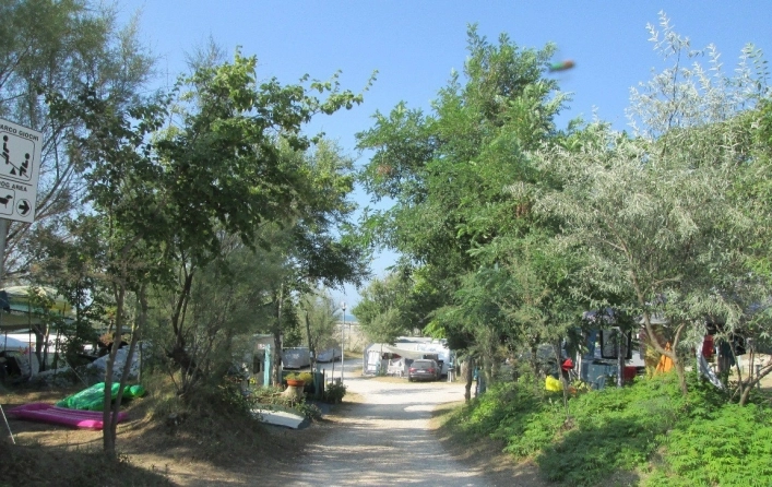 zobacz camping - zdjęcie 11