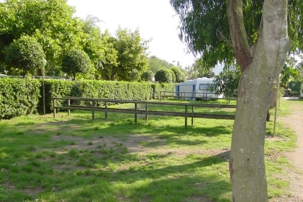 zobacz camping - zdjęcie 9