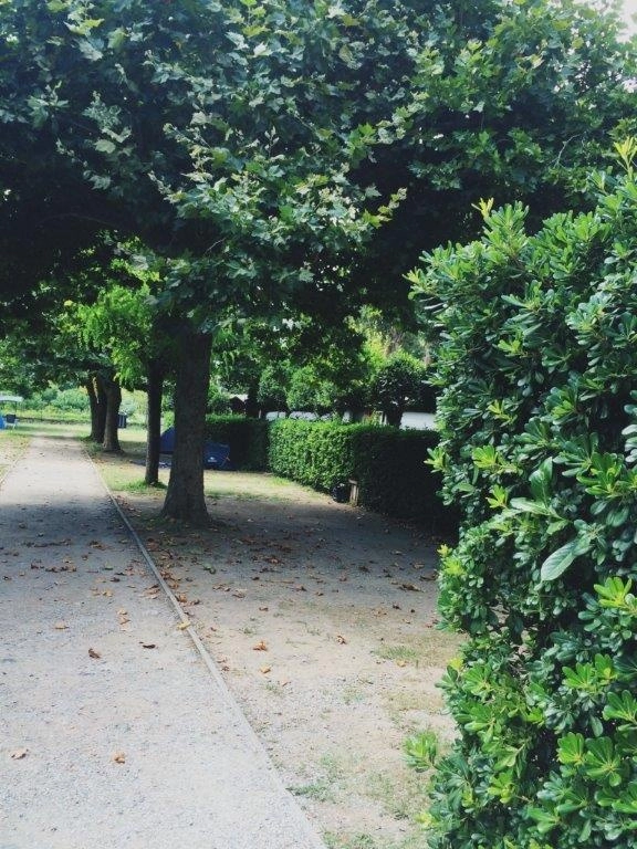 zobacz camping - zdjęcie 7