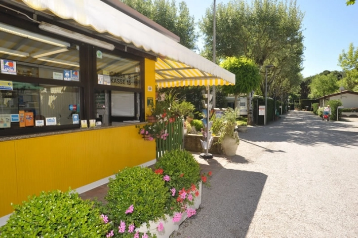 zobacz camping - zdjęcie 21