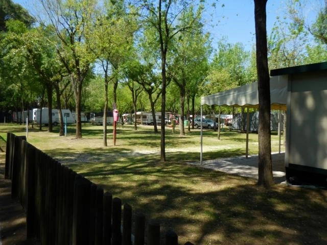 zobacz camping - zdjęcie 16