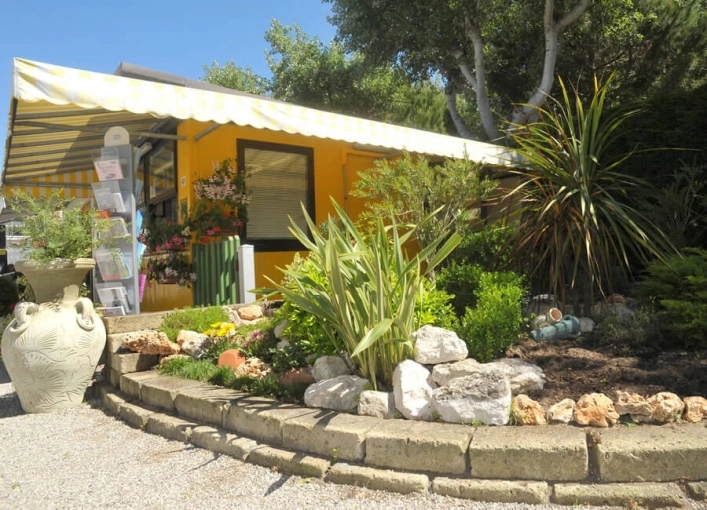 zobacz camping - zdjęcie 11