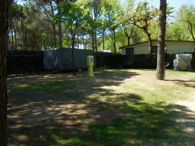 zobacz camping - zdjęcie 7