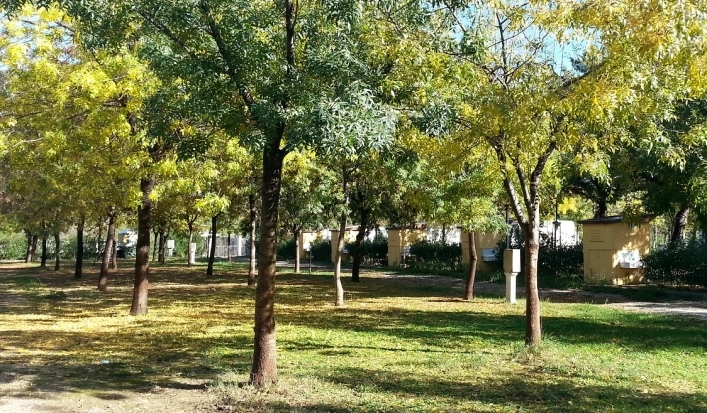 zobacz camping - zdjęcie 6