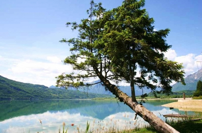 zobacz camping - zdjęcie 21