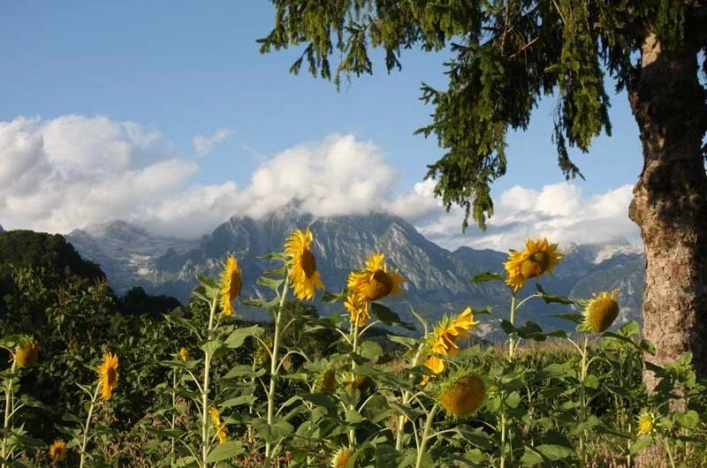 zobacz camping - zdjęcie 18