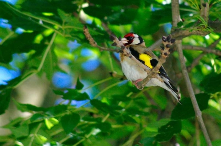 zobacz camping - zdjęcie 16