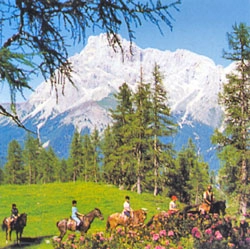 zobacz camping - zdjęcie 5