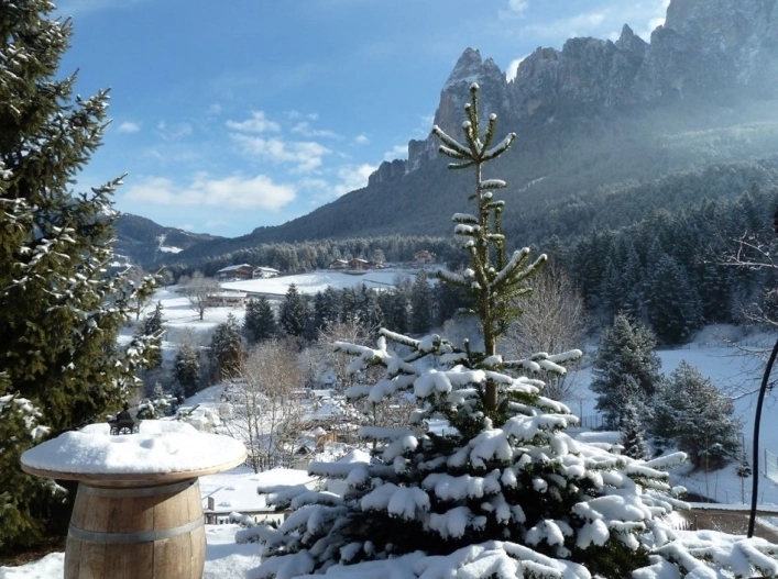 zobacz camping - zdjęcie 14