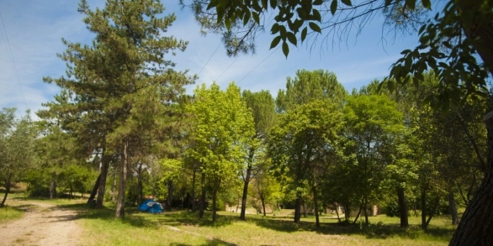 zobacz camping - zdjęcie 8
