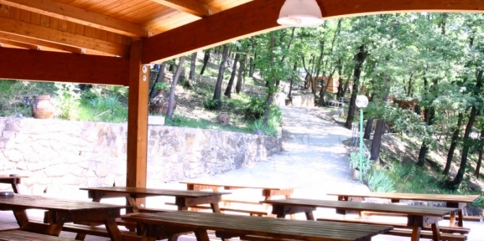 zobacz camping - zdjęcie 22