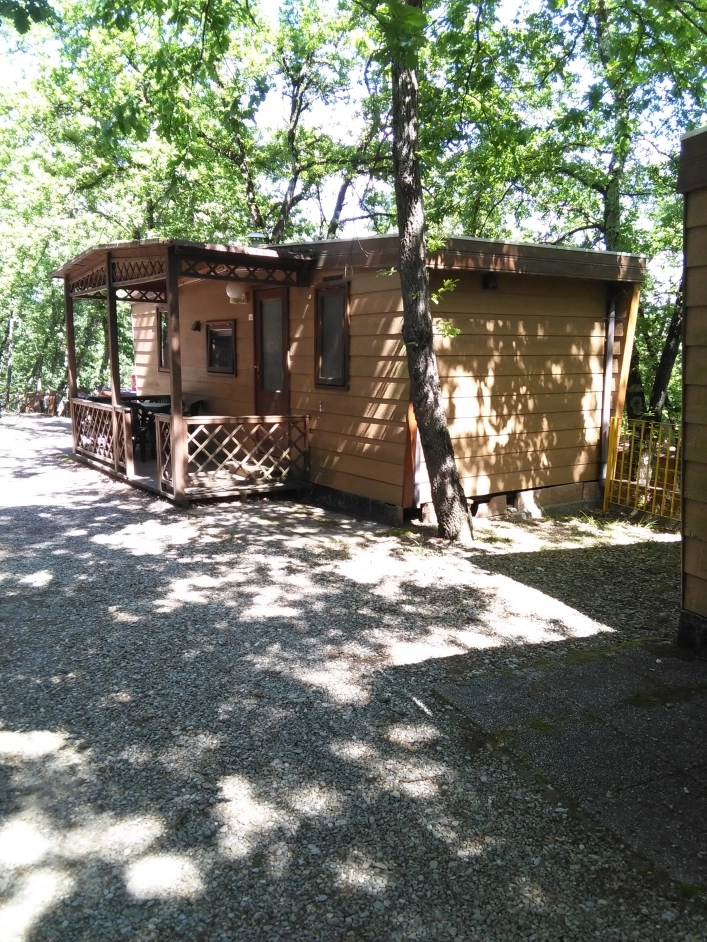 zobacz camping - zdjęcie 12