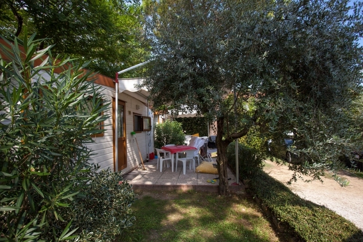 zobacz camping - zdjęcie 8