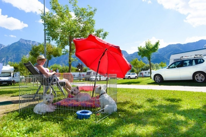 zobacz camping - zdjęcie 41