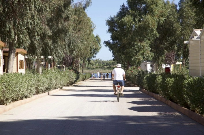 zobacz camping - zdjęcie 31