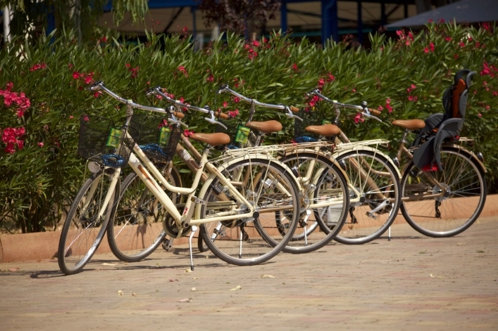 zobacz camping - zdjęcie 18